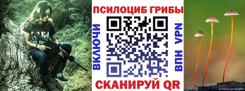 Галлюциногенные грибы Magic Shrooms  Кондопога 