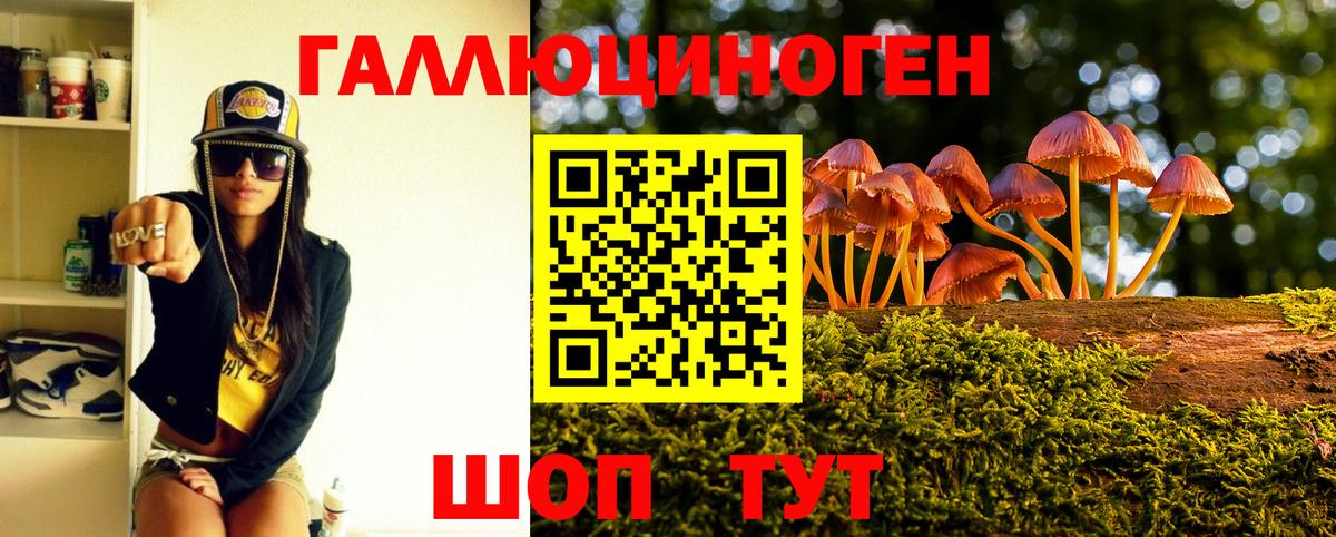 Псилоцибиновые грибы Psilocybe Кондопога